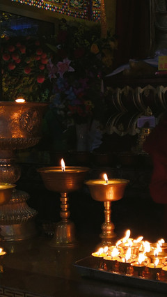 秋山無樹故崚嶒,幾度支筇未忍登。 荒路行愁逢牧馬,舊交老漸變高僧。 鐘樓自吼南朝寺,佛塔還燃半夜燈。 莫向雨花臺北望,寒云黯淡是鐘陵。