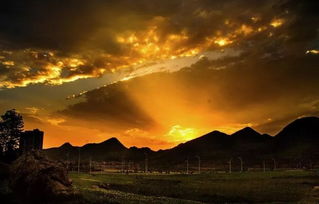 浮云游子意，落日故人情 古詩(shī)詞中的思鄉(xiāng)與友情